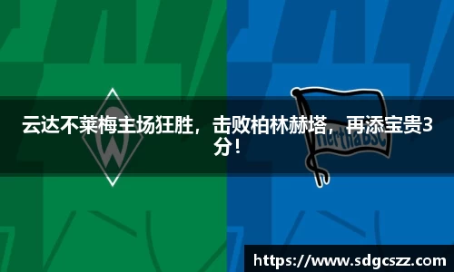 拉斯维加斯