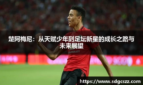 拉斯维加斯