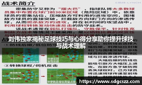 刘伟独家揭秘足球技巧与心得分享助你提升球技与战术理解