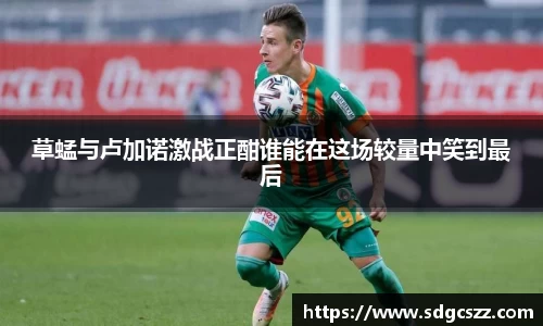 拉斯维加斯网址